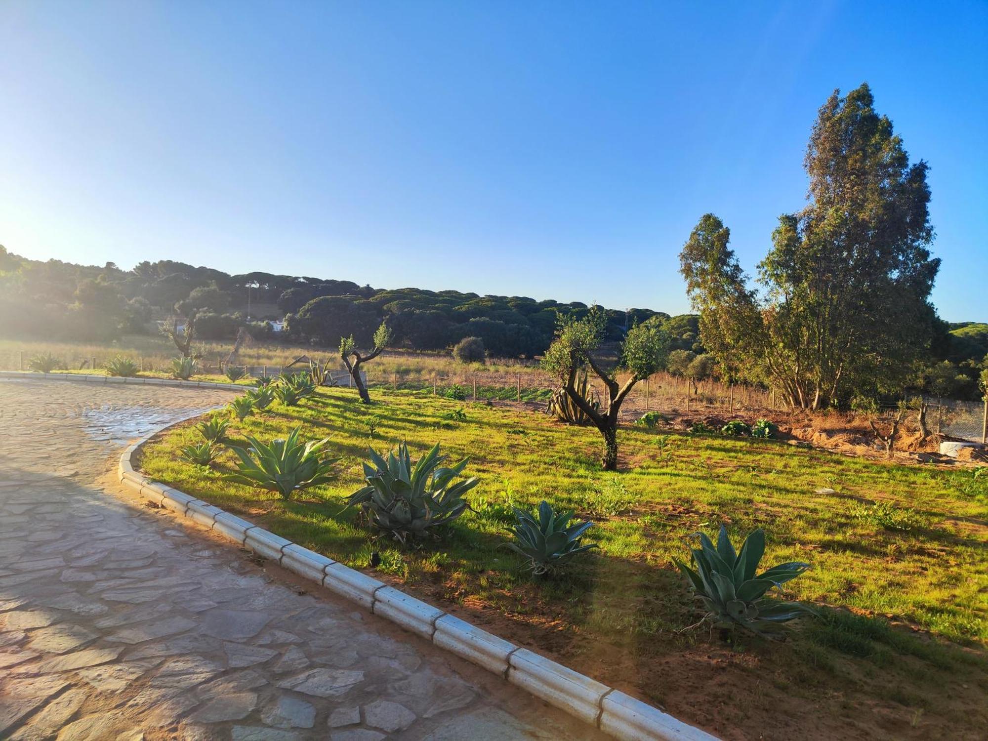 Hacienda La Yerbabuena Βίλα Καντίζ Εξωτερικό φωτογραφία