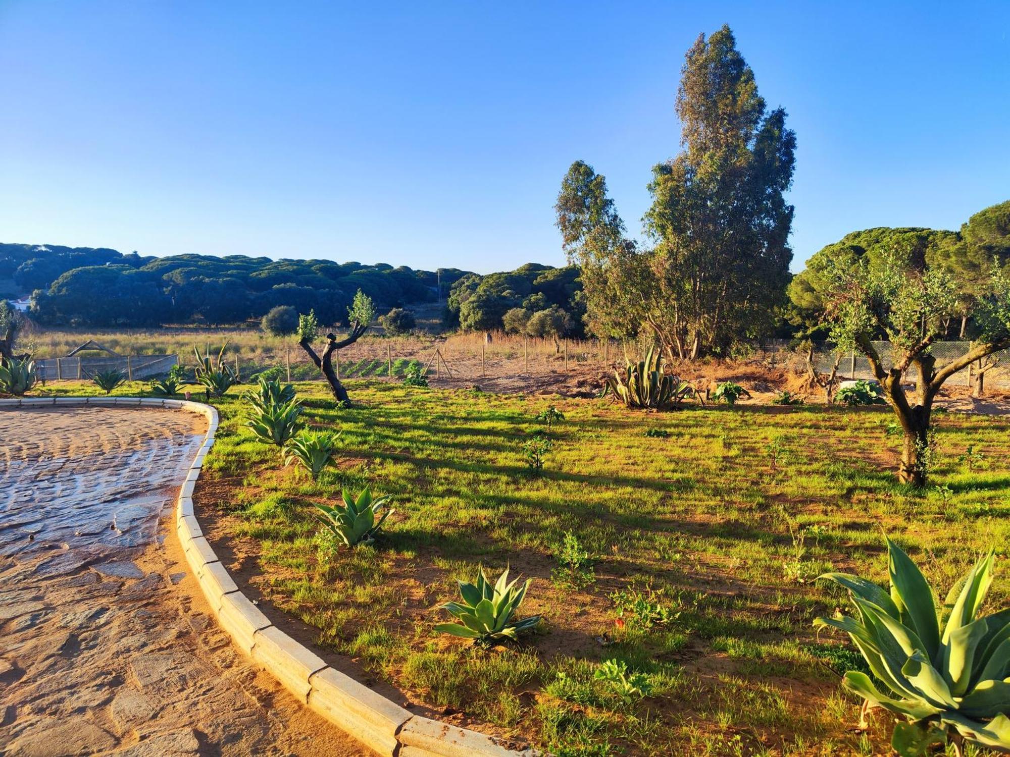 Hacienda La Yerbabuena Βίλα Καντίζ Εξωτερικό φωτογραφία