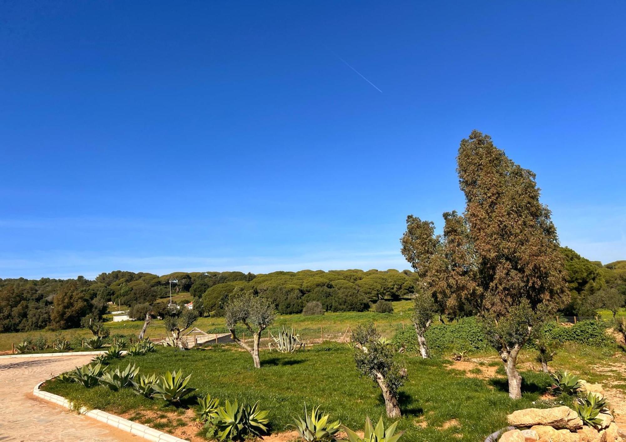 Hacienda La Yerbabuena Βίλα Καντίζ Εξωτερικό φωτογραφία